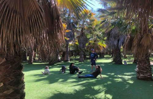 CASA RURAL EN BOSQUE DE PALMERAS - Foto 25