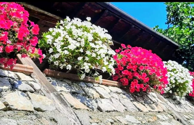 Holiday Apartment Ulivella Tuscany Garfagnana - Foto 15