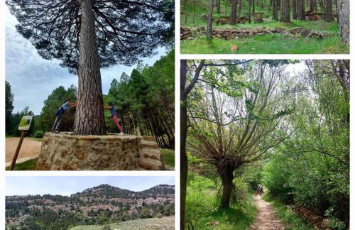 El HOGAR DE LAS MARIPOSAS - VUTE-22-057 - Foto 18