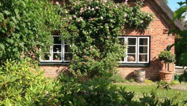 Das Reetdachhaus - Paulines Höft - Foto 4