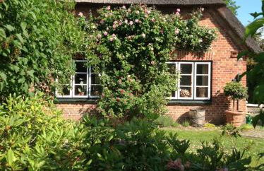 Das Reetdachhaus - Paulines Höft - Foto 4