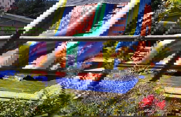 VVF Haute Loire Haute Ardèche, Tence - Photo 17