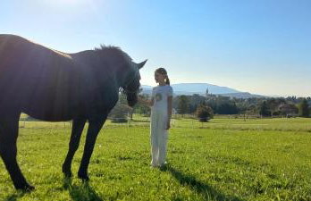 POD STARĄ PODKOWĄ komfortowy domek z kominkiem - Foto 40