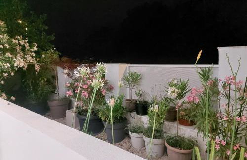 FAMILY APARTMENT ZRNKA s besplatnim parkingom - Photo 31