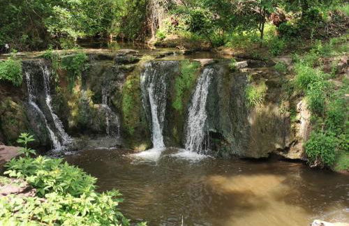 PASSION DU VAR - Photo 24