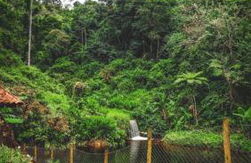 Chalé da Cachoeira - Cachoeira particular dentro da hospedagem - Foto 73