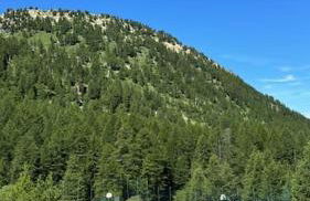 Baby Jane, Studio front de neige - Photo 62