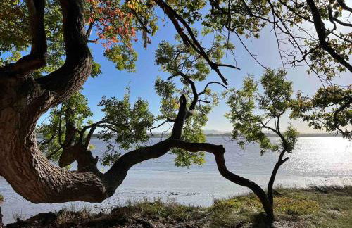 Hilly Haven & Luxury Wagon in the Forest of Dean - Foto 64