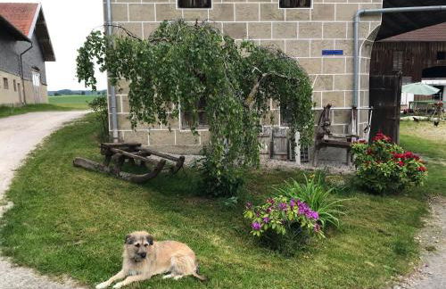 Beim Hofbauer - Foto 18