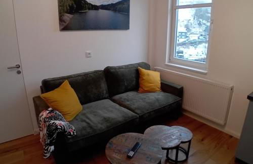 Lauschablick FeWo Thüringen - Foto 26