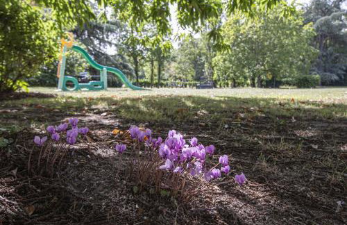 Le Domaine de Baracas - Le Petit Gîte 4 étoiles - SPA - 2 à 4 personnes - Foto 18