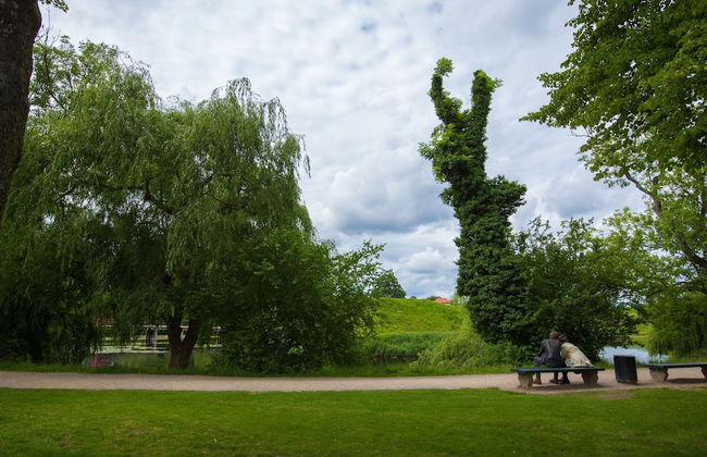 The Churchill 4 by Daniel&Jacob’s - Foto 43