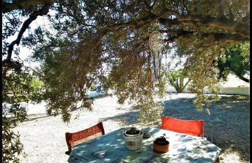 Studio With sea View, Creta, Ierapetra - Foto 13