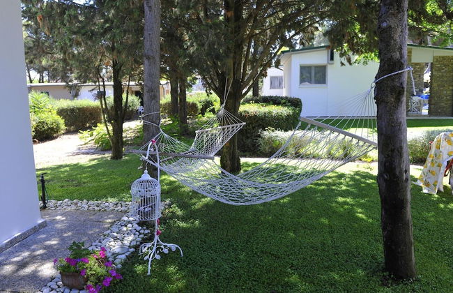 New Apartment in Baia Domzia Near the sea - Photo 32