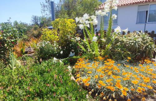 Casa El Sitio - Foto 44