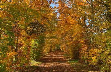 Longère normande avec piscine et jardin - Foto 38