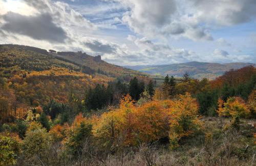 Haus Nina near Willingen and Winterberg - Foto 12