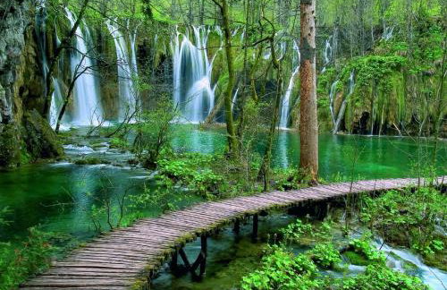 Apartments Irina - Foto 46