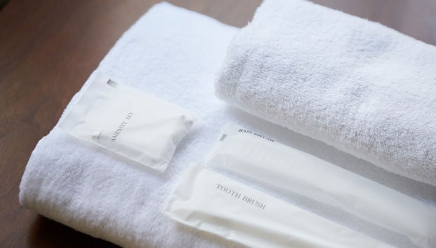 Servizio della camera