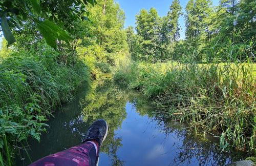 Blockhaus an der Dahme , Ferienhaus - Foto 5
