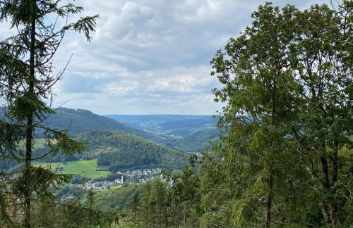 Waldläufer Brilon - Foto 53