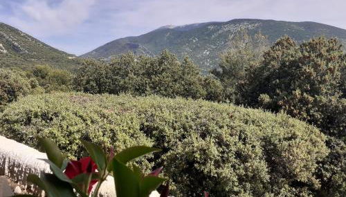 STUDIO VENTOUX - Foto 4