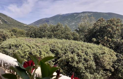 STUDIO VENTOUX - Foto 4