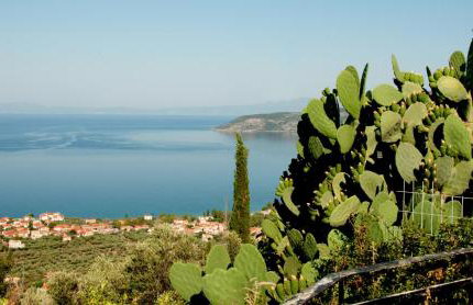 Pyrgos Fassea Kardamyli Towerhouse - Foto 6