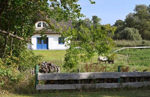 Holiday home in Poseritz - Insel Rügen 41511 - Foto 37