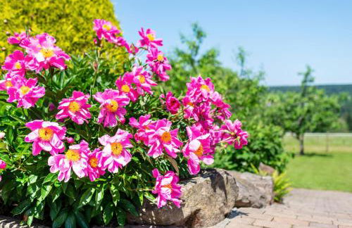 Haus Erlenmaier - Foto 22