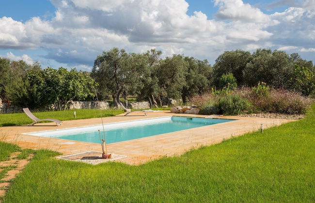 Azienda Agricola Spirdo - Foto 19