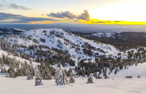 Iconic Nike Studio & Romantic Canopy Glow - Foto 14