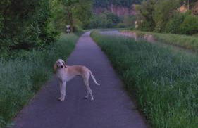 Chez Alain - Foto 19