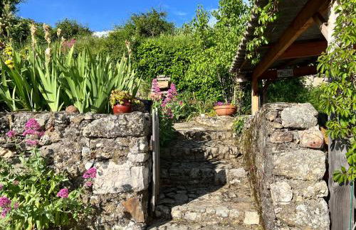 La Lusette-Malaparade - Foto 29