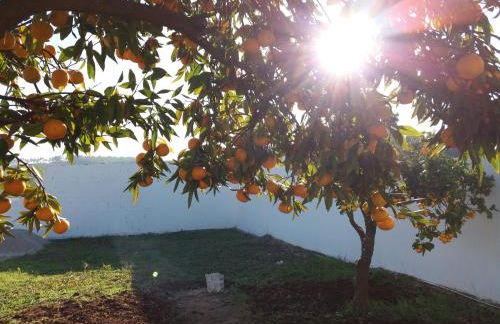 Casa Uldina - Foto 47