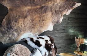 Squirrels Nest - Foto 8