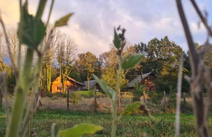 Gîtes en rondins de Vassivière - Les Fustes de Plazanet - Photo 51