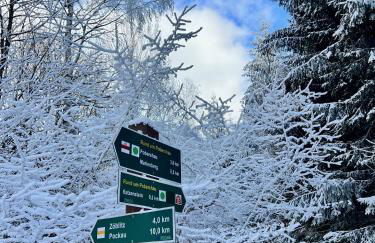 Urige Berghütte mit Kamin und Sauna im Erzgebirge nahe Schwarzwassertal - Foto 7