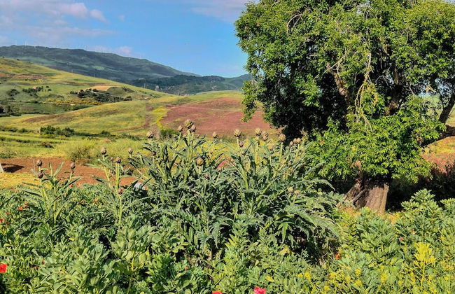 Villa Aperta Campagna - Foto 38