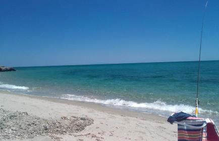 Le Clos des Arbousiers - Foto 4