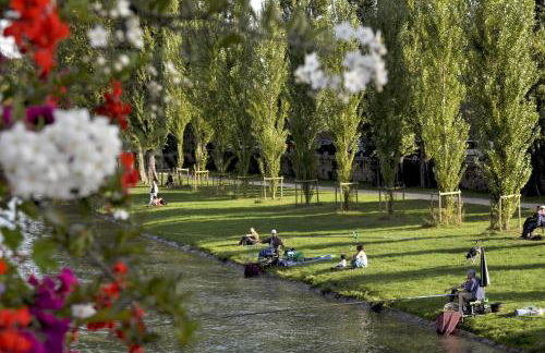 Résidence Calme au Bord de Seine à Melun avec Jardin Terrasses et vue sur la Seine - Foto 39