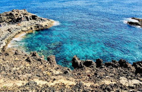 PERLE DES MEERES - Foto 14