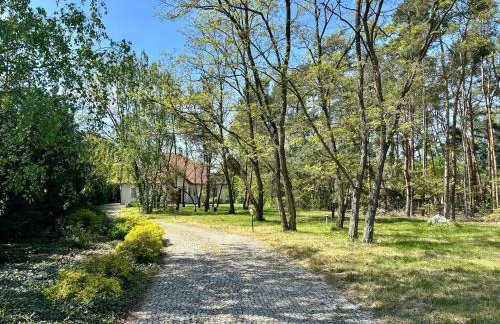 Villa Otolice obok Łowicza, 6 sypialni, balia, sauna, basen, snooker, 50 minut od Warszawy i Łodzi - Foto 45