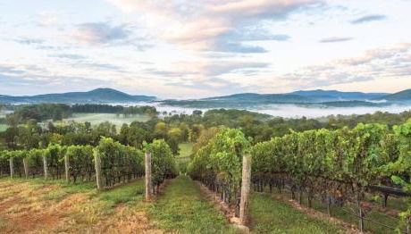 Lee Ridge Mountain Retreat - Foto 3