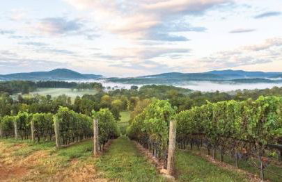 Lee Ridge Mountain Retreat - Foto 3