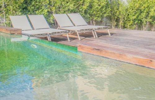 PIPADOURO by YoursPorto - Foto 6