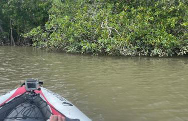 COP30 - Belém - Refúgio perfeito em Benfica-Pará - Photo 58