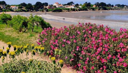 Maison avec jardin à 150 m de la plage - Foto 3