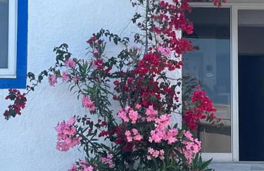 Gennadi Sun Apartments 500m from the beach - Foto 8