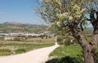 Joka B&B e Home Food - Foto 14